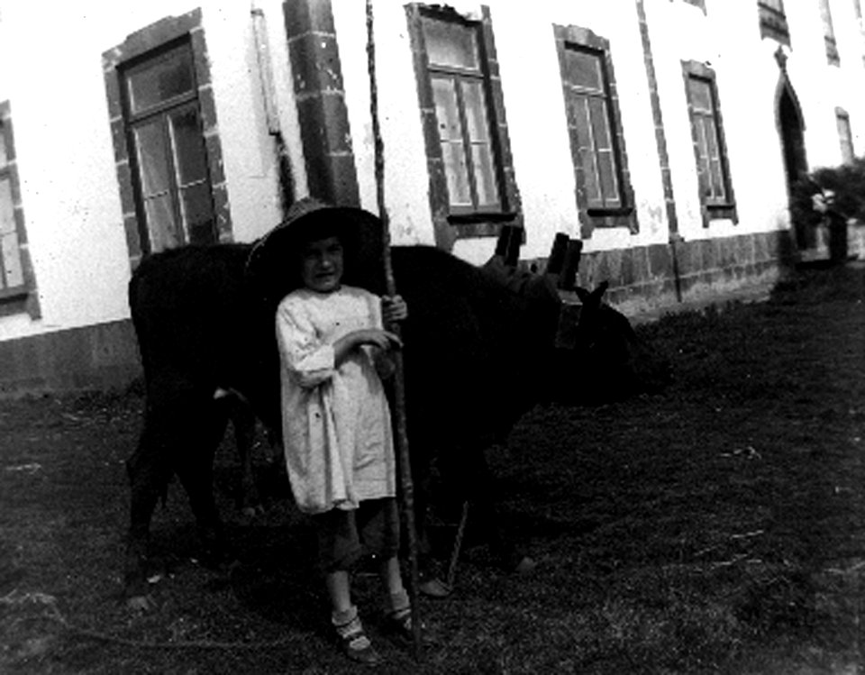 Villa Maria, Terceira, junta de bois, Séc. XX, Arquivo de Villa Maria, Angra do Heroísmo, Açores