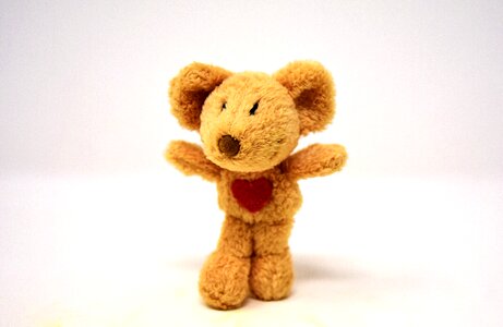 Stuffed animal soft toy cute