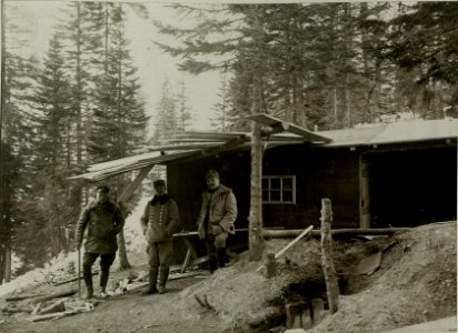 Villa Peter auf der Straniger Alm. (BildID 15469390)