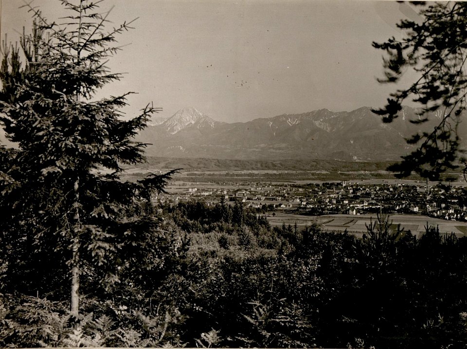 Villach.Hintergrund (Mittagskogel)Karawanken. Stpkt, Oswaldi Berg. (18-6.1917.) (BildID 15799090)