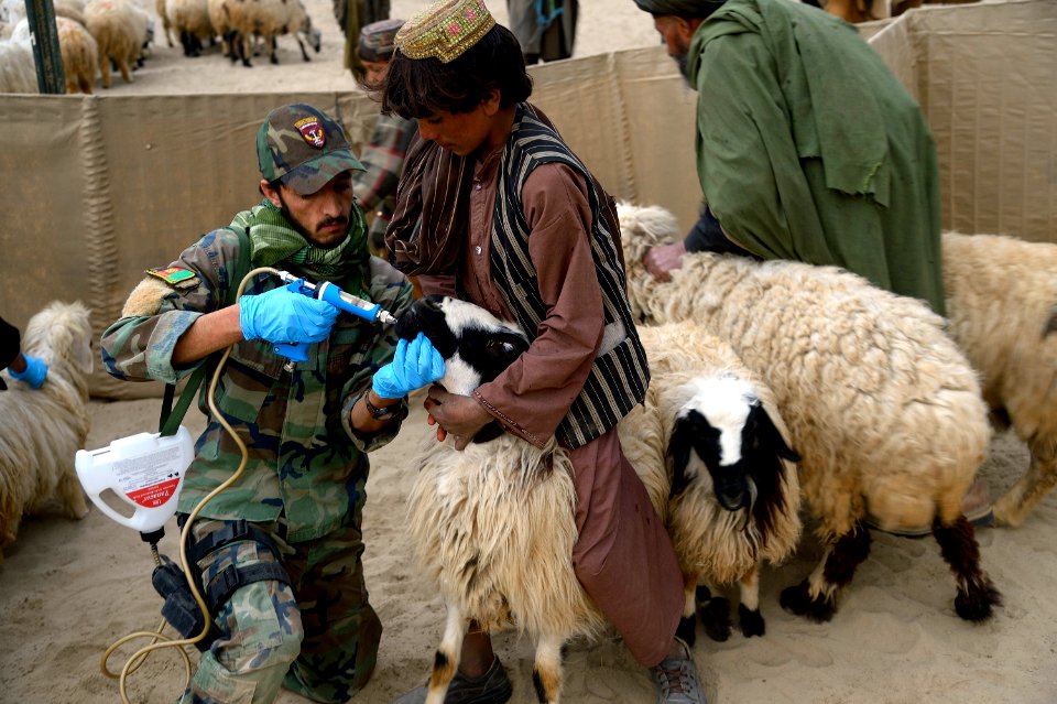 Village veterinarian outreach program 130110-N-HN353-200