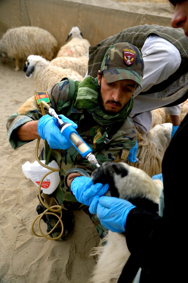 Village veterinarian outreach program 130110-N-HN353-192