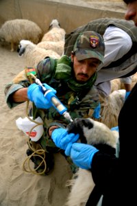 Village veterinarian outreach program 130110-N-HN353-192
