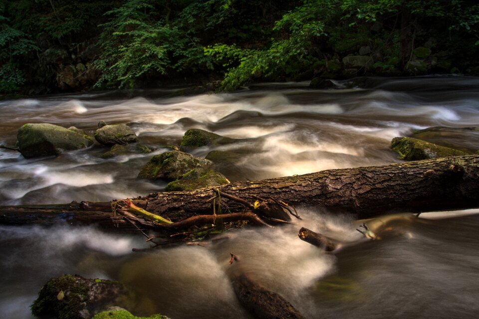 Nature landscape watercourse