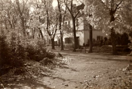 Vilnia, Boŭfałava hara, Evangielisckija. Вільня, Боўфалава гара, Эвангелісцкія (J. Bułhak, 1919) (2)