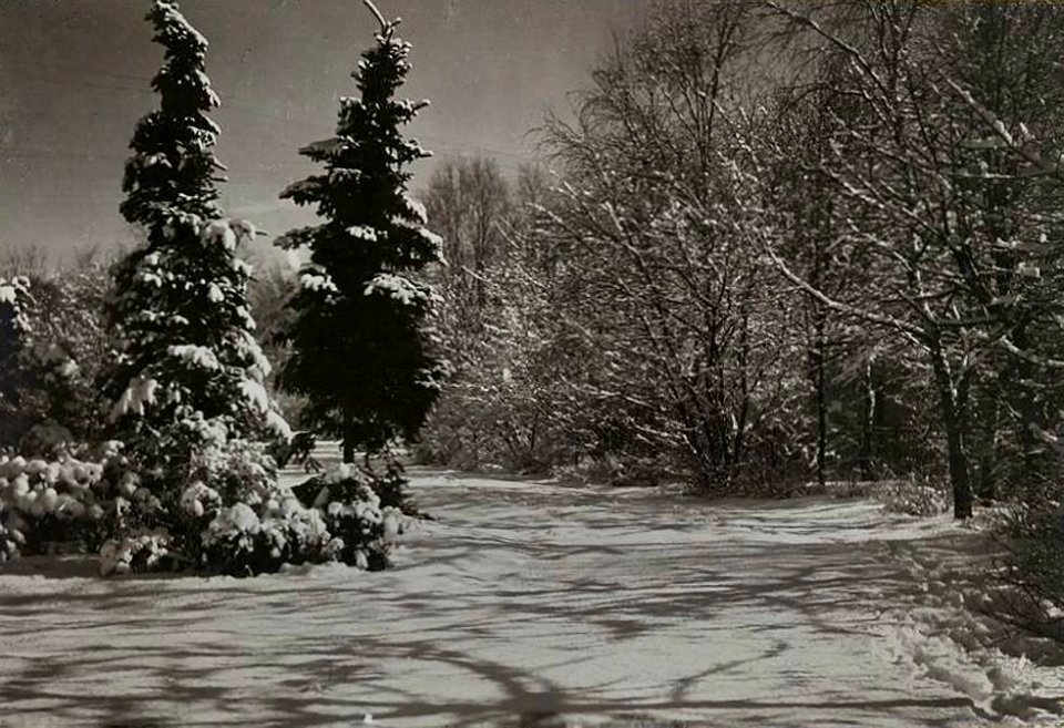 Vilnia, Katedralny. Вільня, Катэдральны (J. Bułhak, 1917)