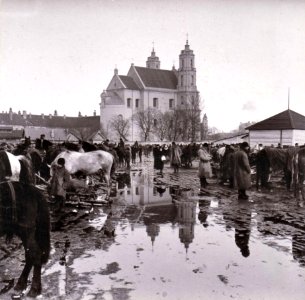 Vilnia, Łukiski, Daminikanski. Вільня, Лукіскі, Дамініканскі (S. Fleury, 1900)