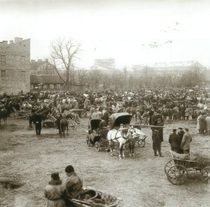 Vilnia, Łukiski. Вільня, Лукіскі (S. Fleury, 1903)