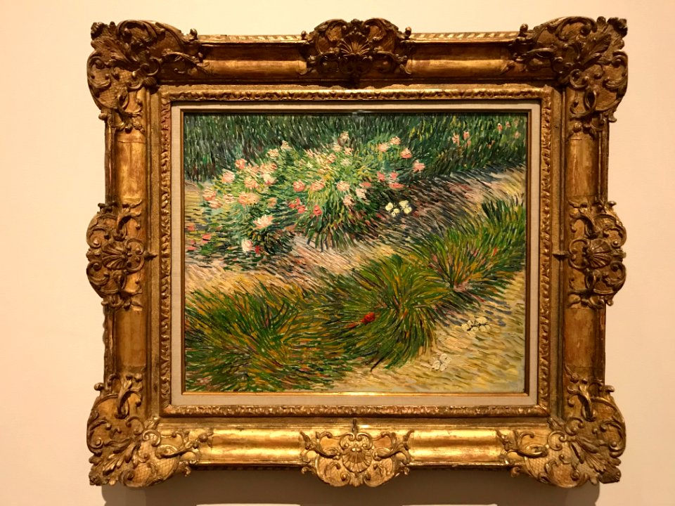 Vincent van Gogh - Gras met vlinders (Van Gogh & Japan)