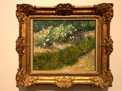 Vincent van Gogh - Gras met vlinders (Van Gogh & Japan) photo