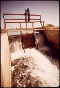 Vincent-humeumptewa-a-hopi-indian-and-an-employee-of-the-irrigation-district-opens-the-canal-gates-these-waters-are-no-longer-potable-because-they-contain-residue-from-the-weed-sprays-used-on-the-fields-may-1972 7152583811 o