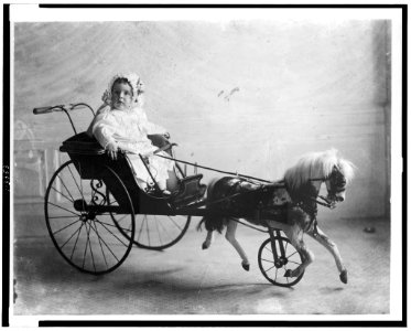 Vinson Walsh McLean, baby son of Evalyn McLean in carriage with toy horse in front) LCCN95504247