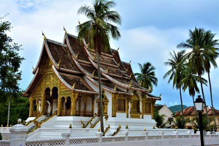 Temple luang prabang palm photo