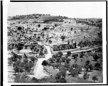 Virgin's tomb. Mount of Olives - Gethsemane) - P. Bergheim LCCN92500668