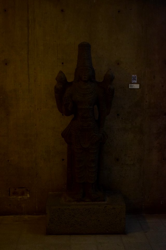 Vishnu 12