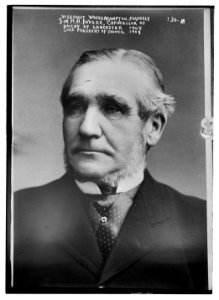 Viscount Wolverhampton, formerly Sir H.H. Fowler, Chancellor of Duchy of Lancaster, formerly Lord President of Council, 1908 LCCN2014680770