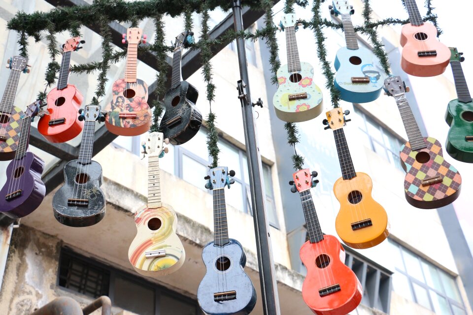 Music guitar chengdu