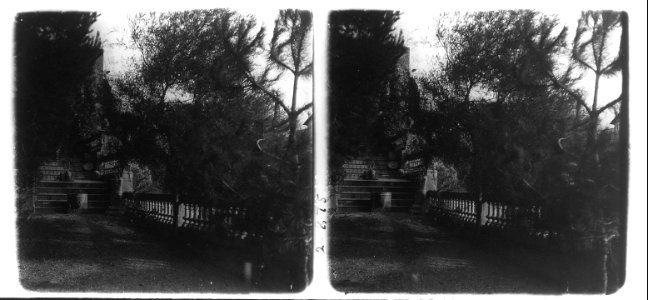Vista d ' una escala dels jardins Comas de Sarrià