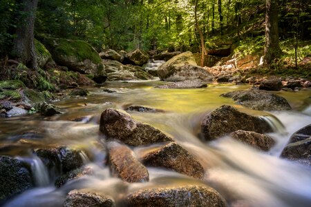 Mountain stream forest nature photo