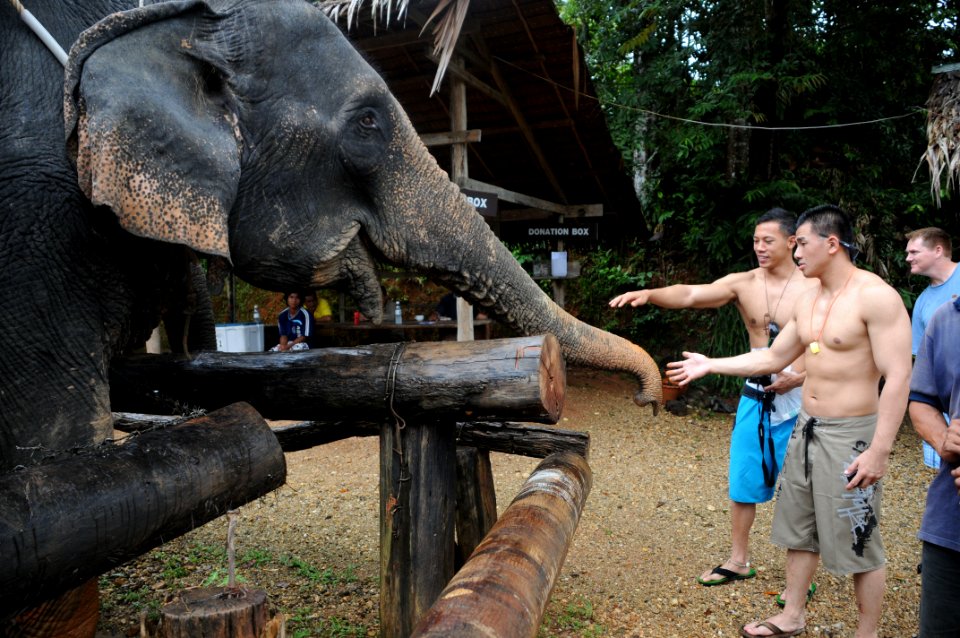 Visiting Thailand DVIDS206986
