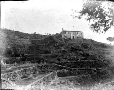 Vista d'una masia i els seus cultius (AFCEC RIBASV C 2698)