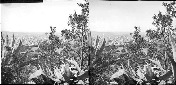 Vista de Barcelona des del Carmel