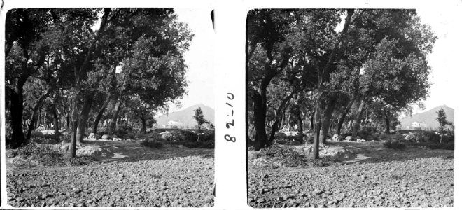 Vista de Breda (SaP 082 10)