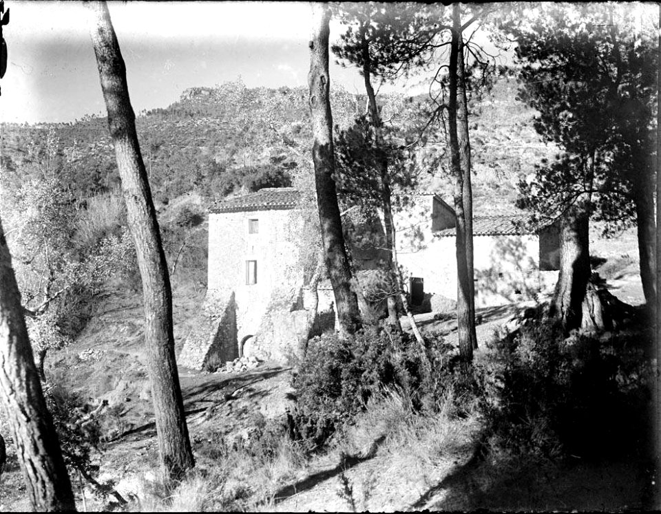 Vista d'una masia a través d'uns arbres (AFCEC RIBASV C 2572)