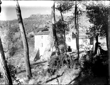 Vista d'una masia a través d'uns arbres (AFCEC RIBASV C 2572)