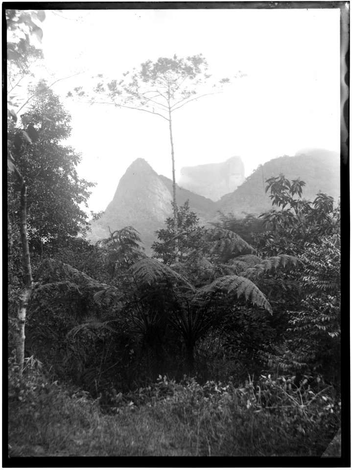 Vista da Pedra da Gávea - 3