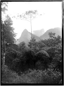 Vista da Pedra da Gávea - 3