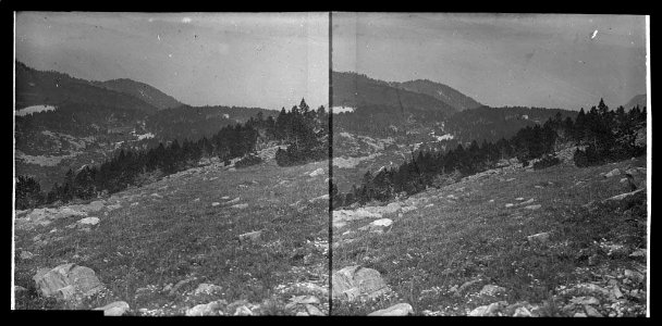 Vista d'una vall a la zona del Canigó