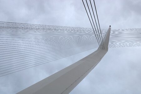 Bridge light rail train photo