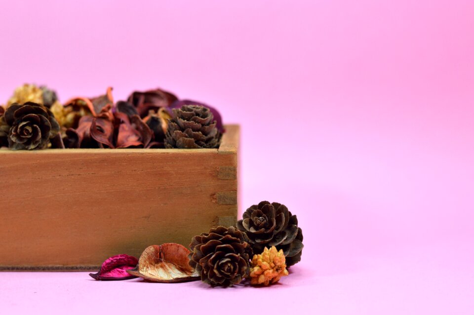 Aroma aromatic autumn