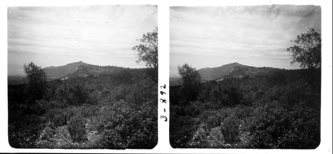 Vista de la Mola