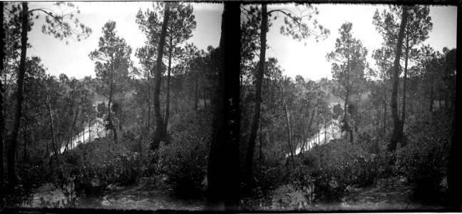 Vista de la Rabassada