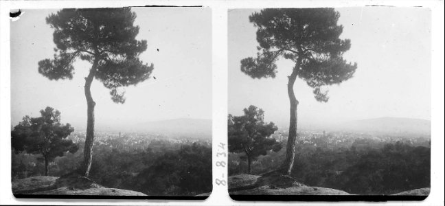 Vista de la ciutat de Barcelona i del pi