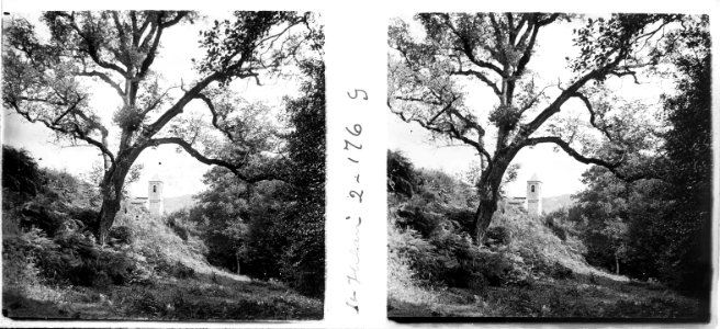 Vista de la capella nova de Sant Hilari Sacalm des d'un bosc
