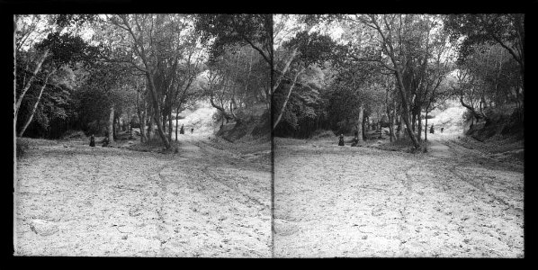 Vista de la llera de la riera de Llavaneres i gent al bosc