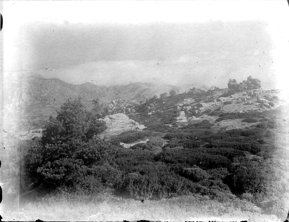 Vista de muntanya i arbres (AFCEC RIBASV C 2559)