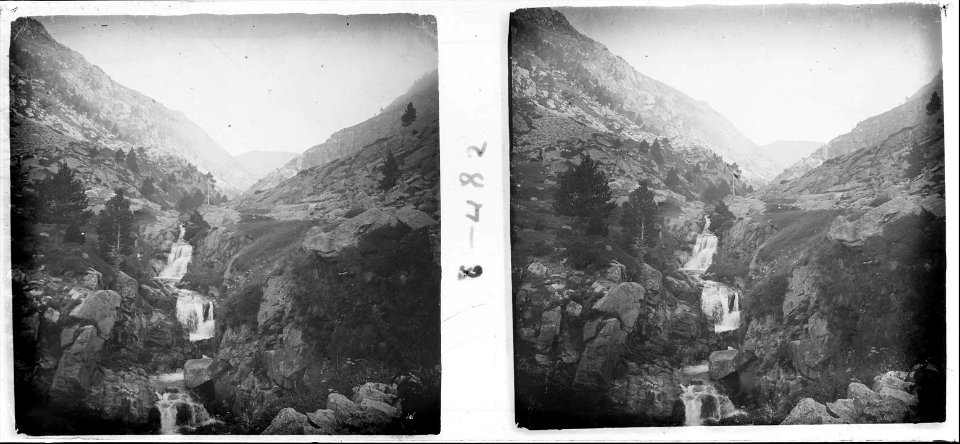 Vista de la part inferior de la cua de cavall