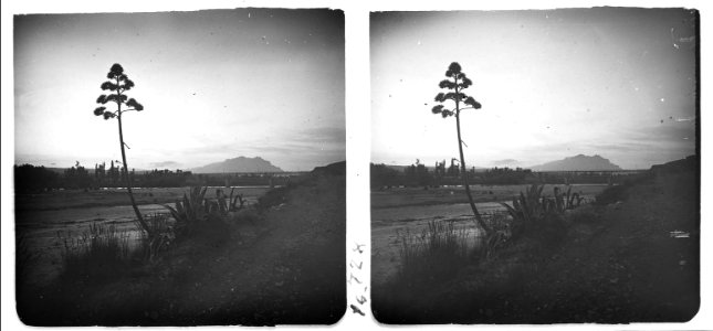 Vista de les muntanyes de Montserrat des del Llobregat a Martorell