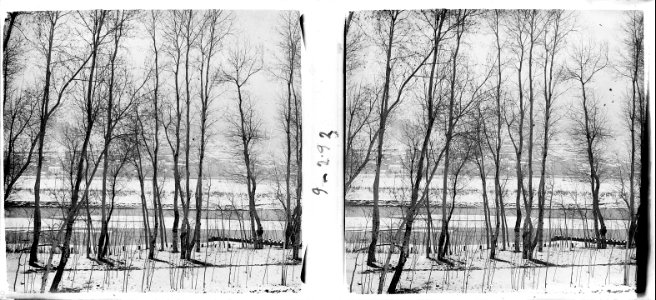 Vista de Martorell entre els arbres nevats