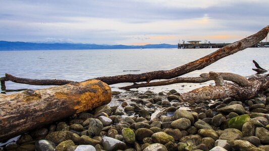 Grove promenade waters photo