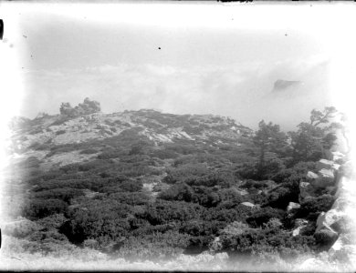 Vista de muntanyes amb arbres i núvols al fons (AFCEC RIBASV C 2661)