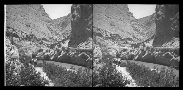 Vista del congost de Terradets amb unes mules al camí , el riu i un pont