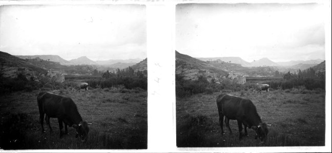 Vista del castell de Santa Maria de Besora