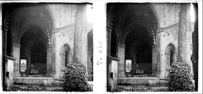 Vista del claustre de la catedral de arcelona