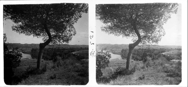 Vista del curs del riu Llobregat des de Can Bros vell