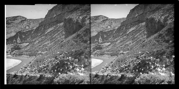 Vista del pas de Terradets amb un ramat de cabres
